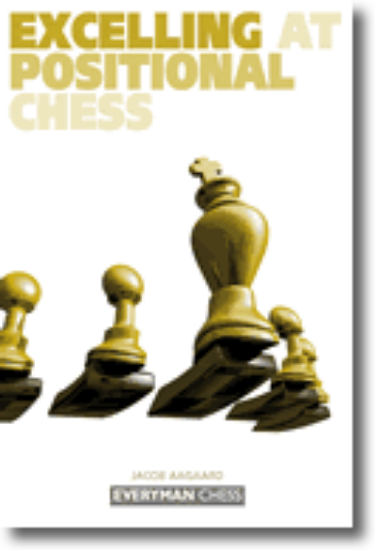 Obrázek Excelling at Positional Chess: How the Best Players Plan and Manoeuvre