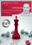 Obrázek Practical Chess Strategy: The Bishop ke stažení