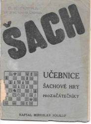 Šach - učebnice šachové hry pro začátečníky